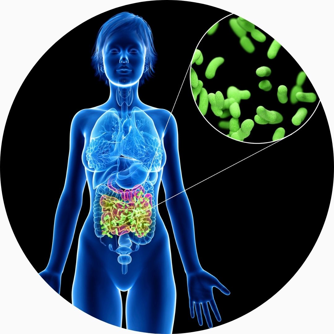Gut health Gut health